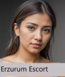 Erzurum Elden Escort Hizmeti - erzurum nakit çalışan escort